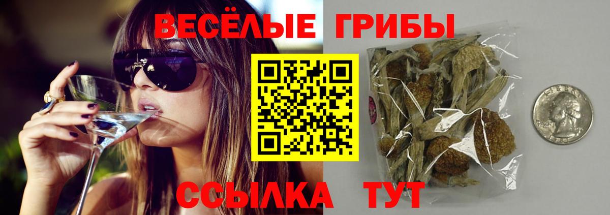 Зеленодольск  Галлюциногенные грибы прущие грибы  Вход с VPN  Галлюциногенные грибы мицелий 