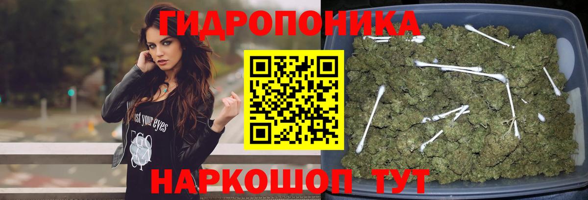 Зеленодольск  Канабис тримм  Вход с VPN  МАРИХУАНА тримм  Марихуана OG Kush  МАРИХУАНА Ganja 